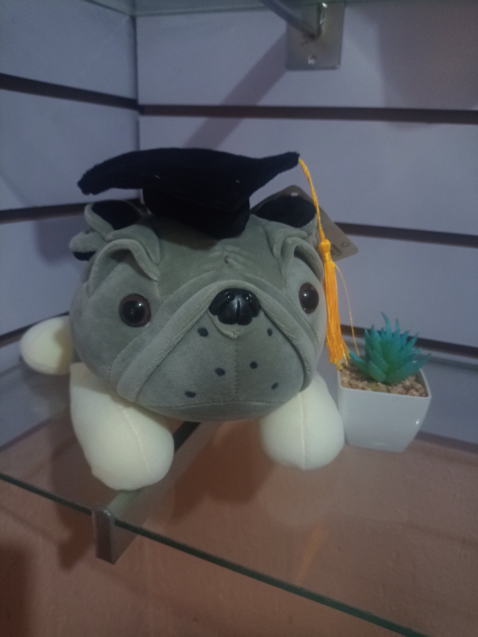 Perro de peluche