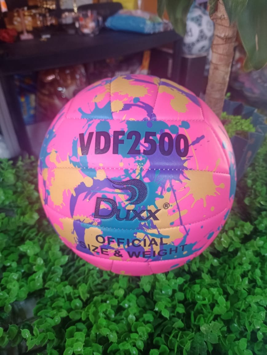 Balón de voleibol