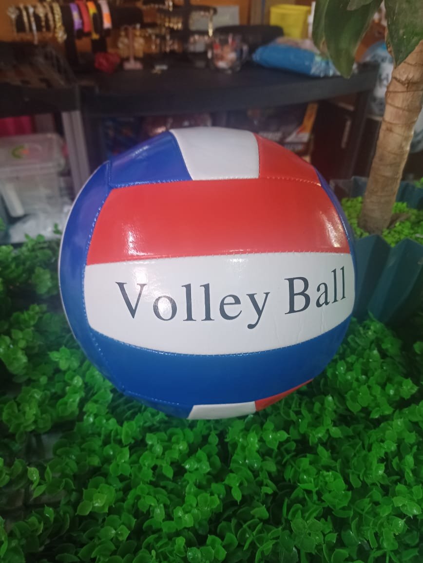 balón voleibol