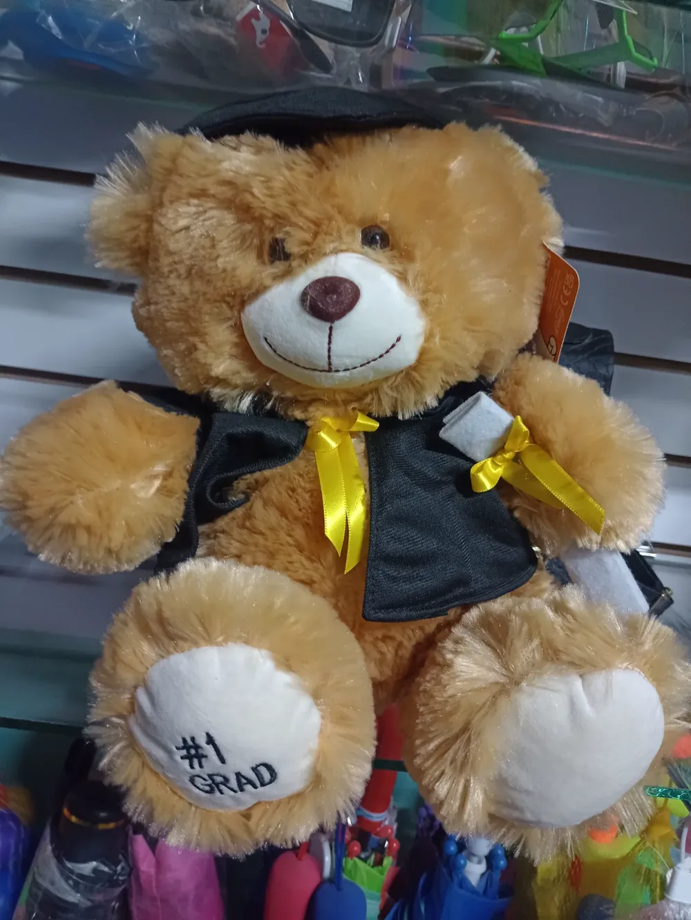Osito graduación