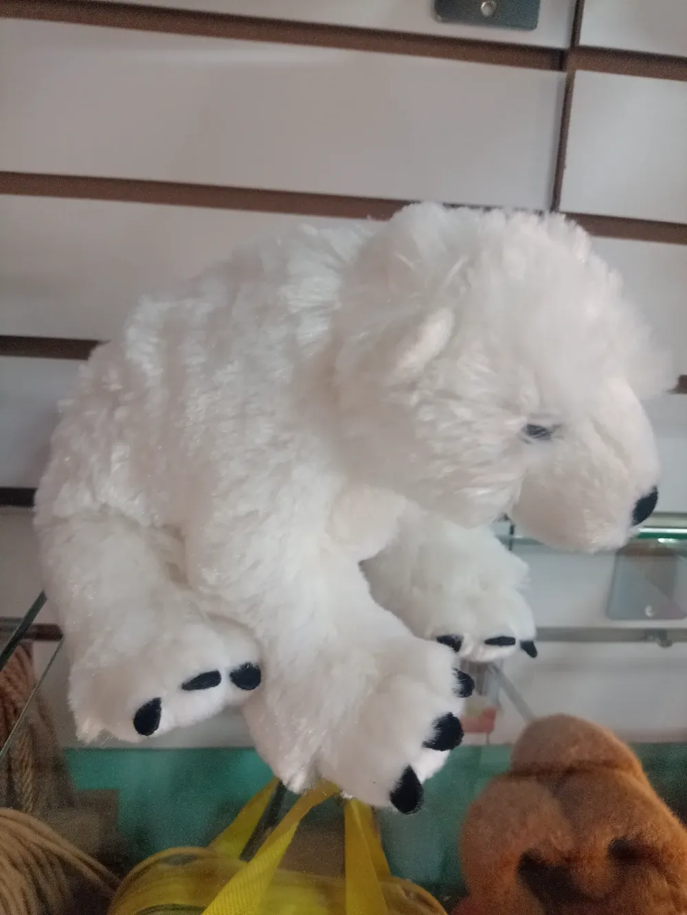 Osito polar